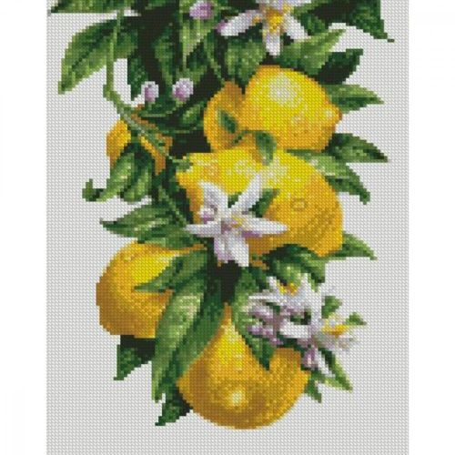 Алмазна мозаїка "Лимони" 30х40 см (Strateg)