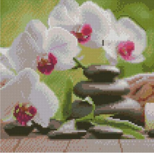 Алмазна мозаїка "Орхідеї" 30х30 см (Strateg)