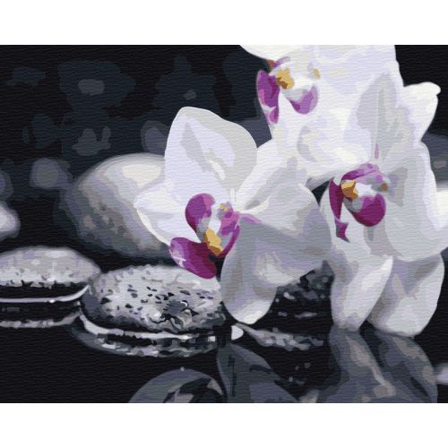 Картина за номерами "Квіти дзену" ★ (Brushme)