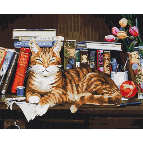 Картина за номерами "Кіт на книжковій полиці" ★★★ (Brushme)