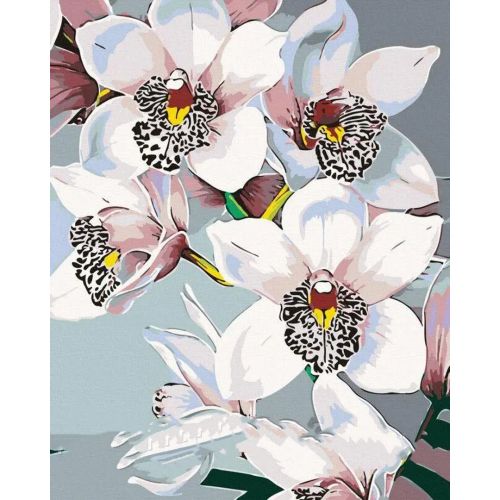 Картина за номерами "Вабливі орхідеї" 40х50 см (Rainbow Art)