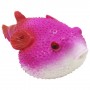 Игрушка-антистресс "Рыба Фугу", розовая (MiC)