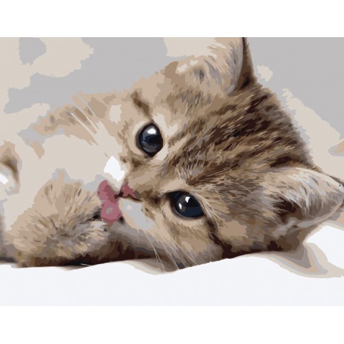 Картина по номерам "Маленький котик" ★★★★ (Strateg)