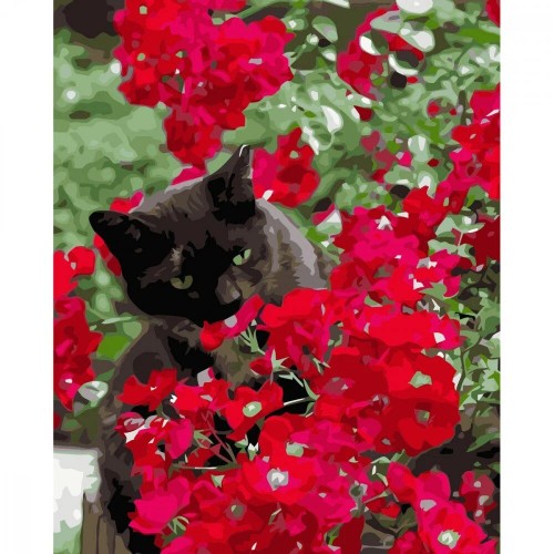 Картина по номерам "Котик в красных цветах" ★★★★★ (Strateg)