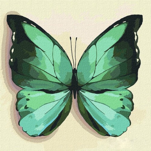 Картина по номерам "Зелёная бабочка" ★★★ (Ідейка)