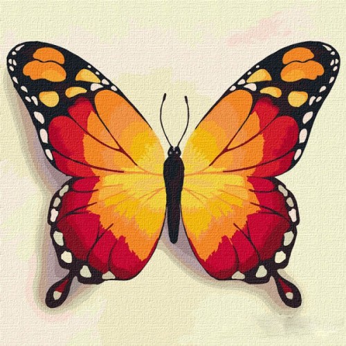 Картина за номерами "Помаранчевий метелик" ★★★ (Идейка)