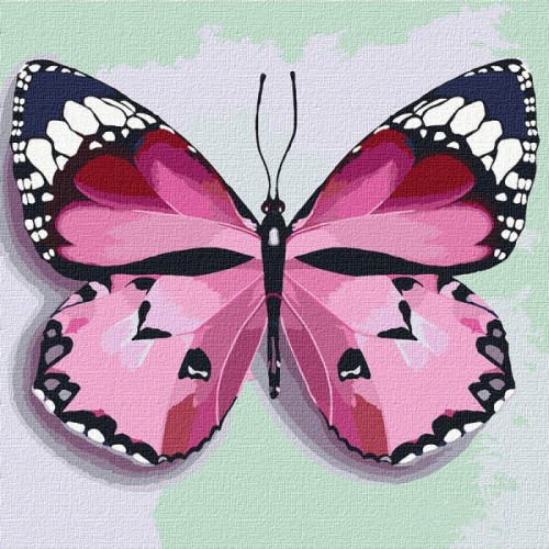 Картина за номерами "Рожевий метелик" ★★★ (Идейка)