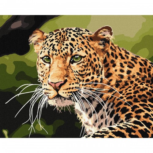 Картина по номерам "Зеленоглазый леопард" ★★★ (Ідейка)