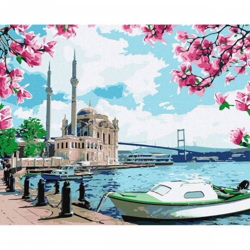 Картина по номерам "Яскравий Стамбул" ★★★★ (Ідейка)