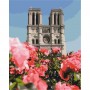 Картина за номерами "Собор Паризької Богоматері" ★★★ (Brushme)