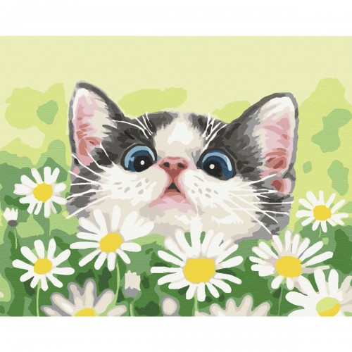 Картина по номерам "Котик в ромашках" ★★★ (Brushme)