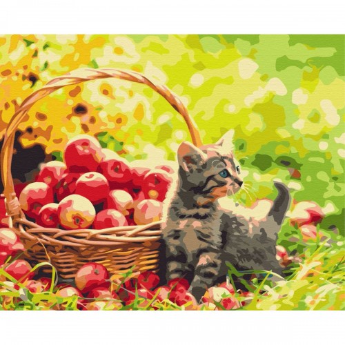 Картина по номерам "Яблочный котик" ★★★ (Brushme)