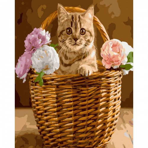 Картина за номерами "Котик у корзині" ★★★ (Rainbow Art)