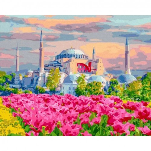 Картина по номерам "Стамбульские цветущие поля" ★★★ (Rainbow Art)