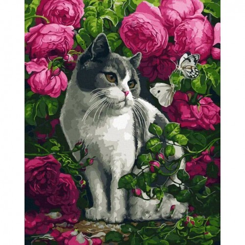Картина за номерами "Кіт серед троянд" 40х50 см (Rainbow Art)
