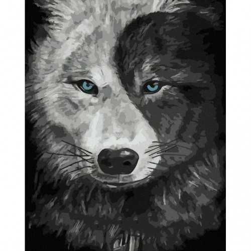 Картина по номерам "Волк инь-янь" 40х50 см (Rainbow Art)