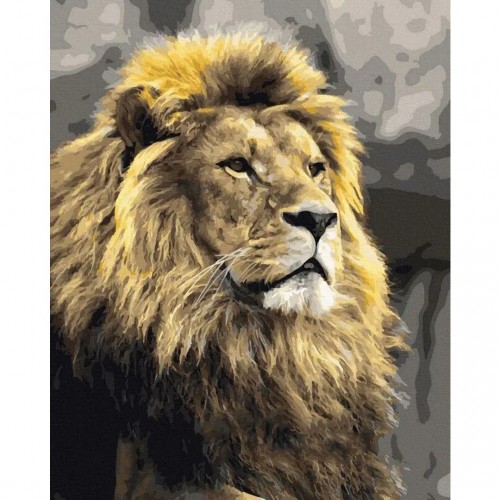 Картина за номерами "Цар звірів" 40х50 см (Rainbow Art)