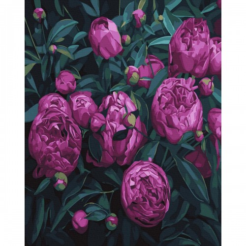Картина по номерам "Пурпурные тюльпаны" ★★★ (Rainbow Art)