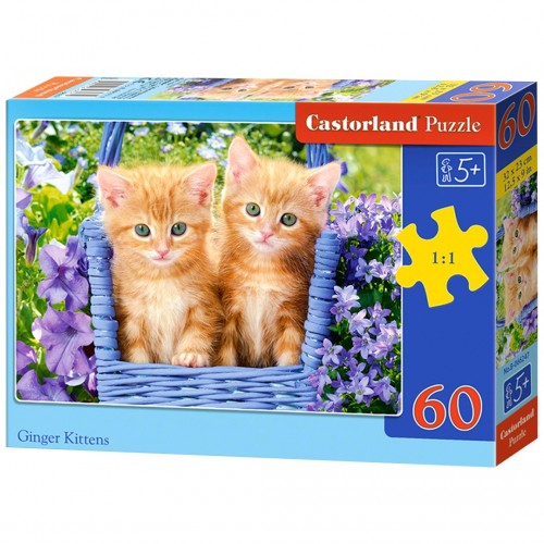 Пазлы "Рыжие котята", 60 элементов (Castorland)