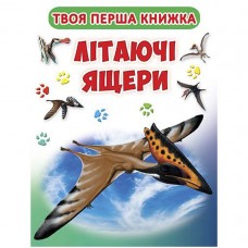 Твоя первая книга 