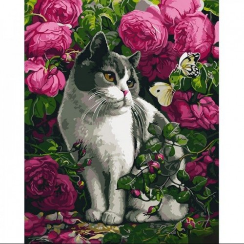 Картина по номерам "Розы и кот" ★★★★ (Strateg)