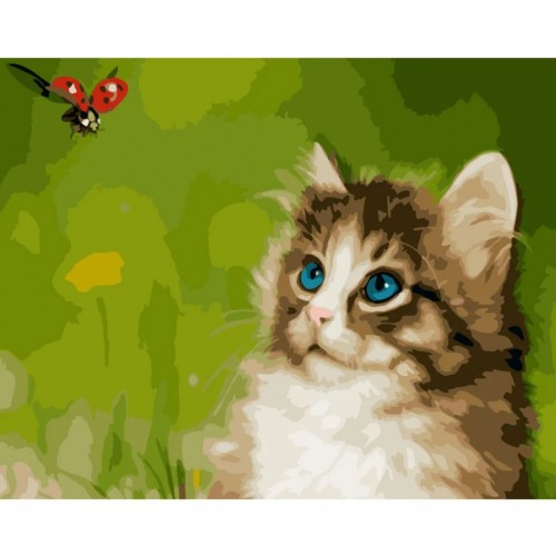 Картина за номерами "Котик із сонечком" ★★★ (Strateg)