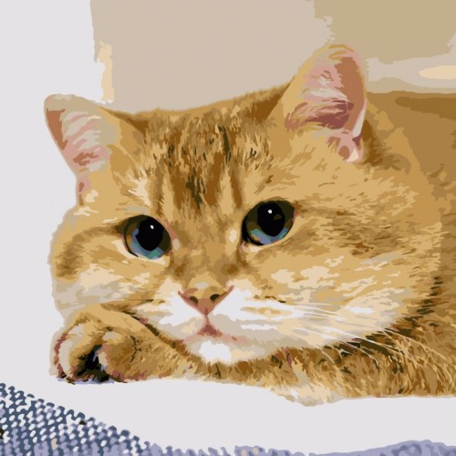 Картина по номерам "Измученный котик" ★★★★ (Strateg)
