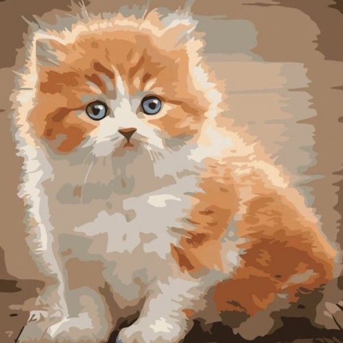 Картина по номерам "Напуганый котенок" ★★★★ (Strateg)