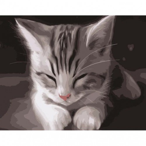 Картина по номерам "Сонный котенок" ★★★ (Strateg)