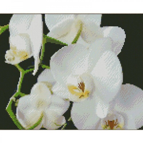 Алмазная мозаика "Белые орхидеи" 30х40 см (Strateg)
