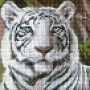 Алмазна мозаїка без підрамника "Бенгальський тигр" 20х20 см (Ідейка)