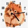 Годинник-картина за номерами "Шпіц", 30х30 см (Art Story)