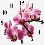 Годинник-картина за номерами "Орхідея", 30х30 см (Art Story)
