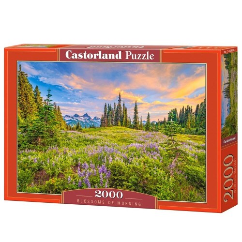 Пазли "Ранкові квіти", 2000 елементів (Castorland)