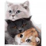 Картина по номерам "Три кота" (Оптифрост)
