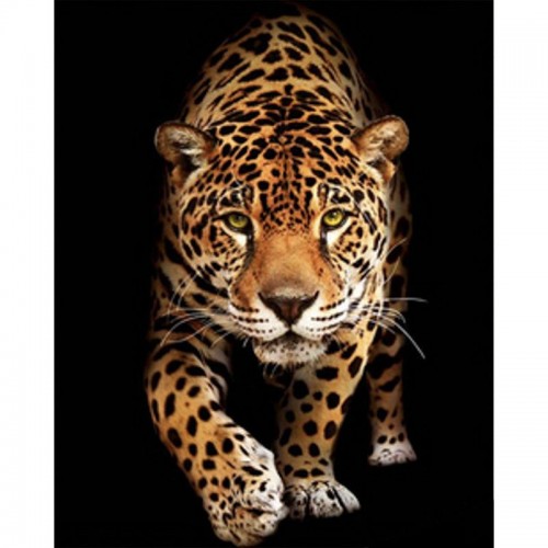 Алмазная мозаика "Встреча с леопардом" 40х50 см (Strateg)