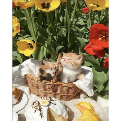 Алмазна мозаїка "Котики серед тюльпанів" 30х40 см (Strateg)