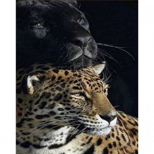 Алмазна мозаїка "Пантера та леопард" 30х40 см (Strateg)