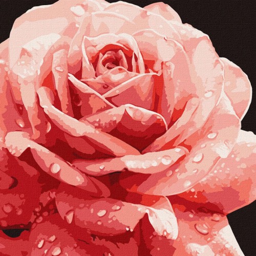 Картина за номерами "Досконала троянда" (Ідейка)