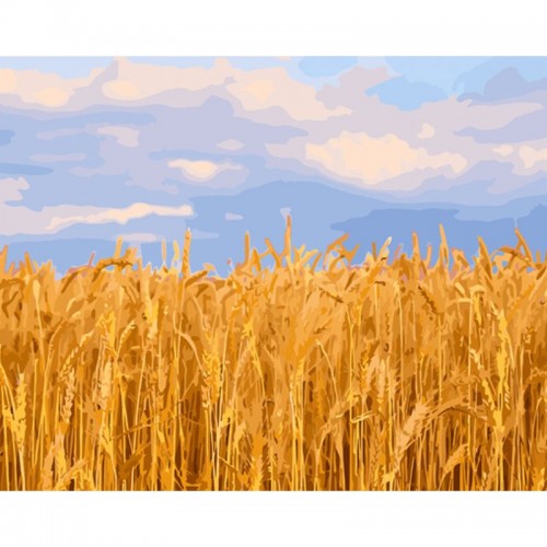 Картина по номерам "Пшеничное поле ★★★ (Strateg)