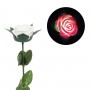 Троянда зі світлом, 40 см (білий) (MiC)