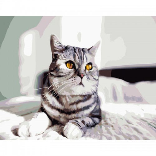 Картина по номерам "Игривый серый кот" ★★★ 40х50 см (Strateg)