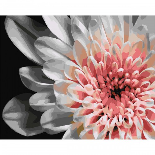 Картина по номерах "Біло-рожева жоржина" 40x50 см (Origami)