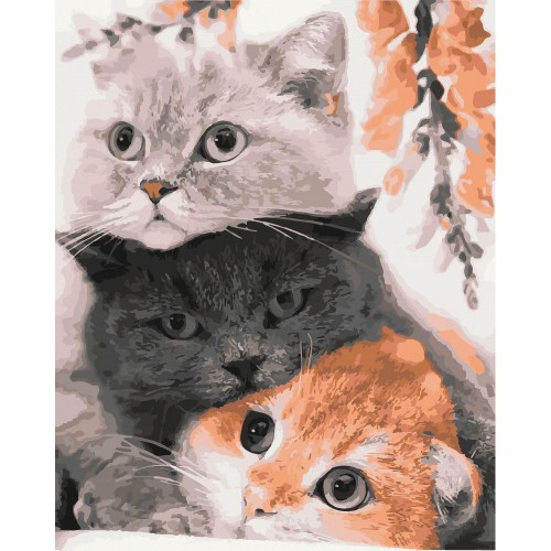 Картина по номерах "Три кота" 40x50 см (Origami)