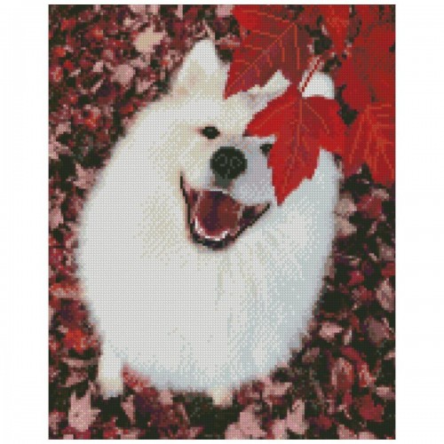 Алмазна мозаїка "Білий пес" 40х50 см (Strateg)