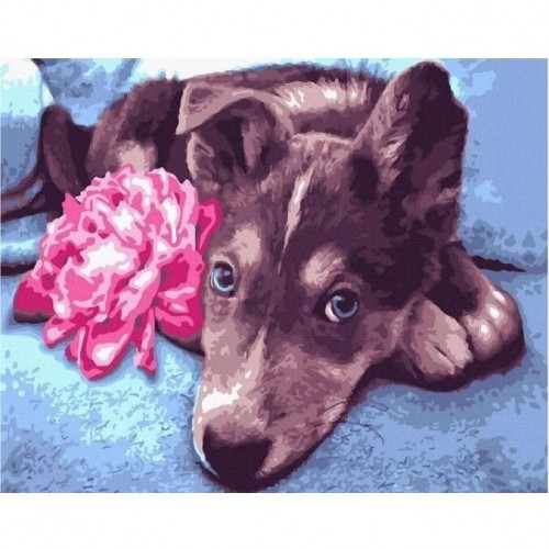 Картина по номерам "Пес с цветком" 40х50 см (Rainbow Art)