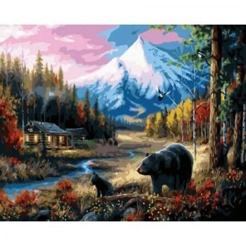Картина по номерам "Жители Аляски" 40х50 см (Rainbow Art)