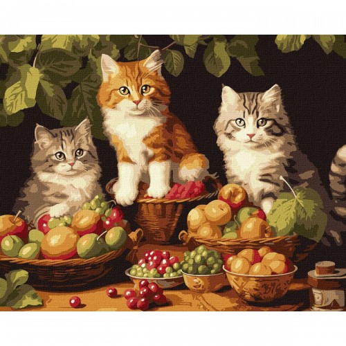 Картина по номерам "Котики и фрукты" 40х50 см (Ідейка)