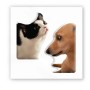 3D стикер "Мем: Пес и кот" (цена за 1 шт) (Tattooshka)