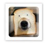 3D стикер "Хлебный пес" (цена за 1 шт) (Tattooshka)